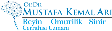 Mustafa Kemal Arı